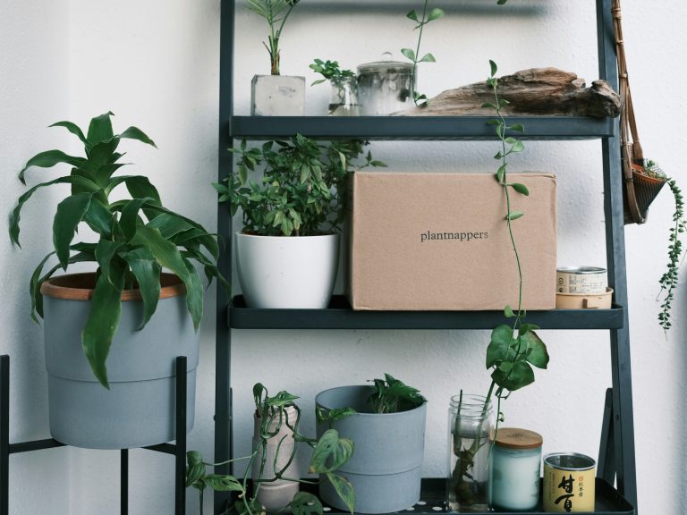 Budget‑Friendly Sustainable Home Organization Ideas